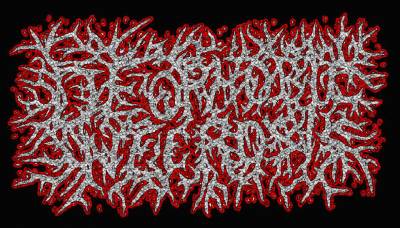 logo Deophobic Necrosis